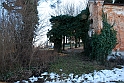 S. Damiano d'Asti_078